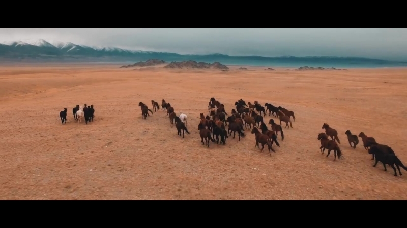 Mongolia cinematic drone film