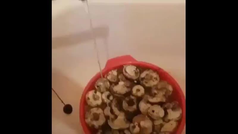 🍀салфетка aquamagic absolute для мытья посуды