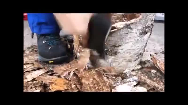 Сюрприз на свалке наковальня yf cdfkrt yfrjdfkmyz yf cdfkrt yfrjdfkmyz yf cdfkrt yfrjdfkmyz