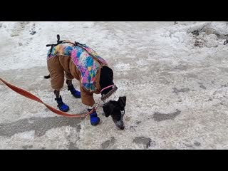 Video 20210214 123755 mp4