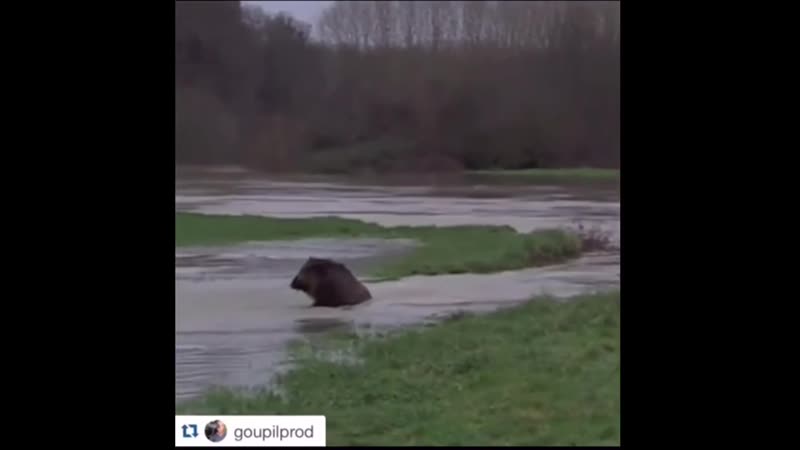 Внезапно остыл (vhs video)