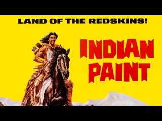 1965 пегий жеребёнок indian paint