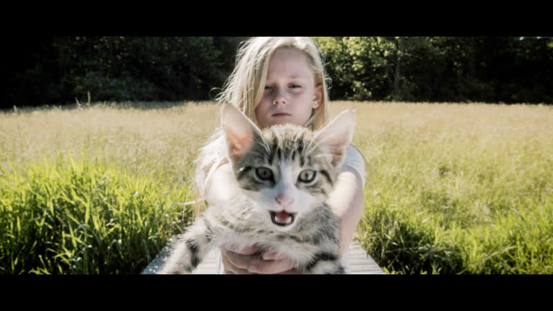 Мелочь (2020) small time