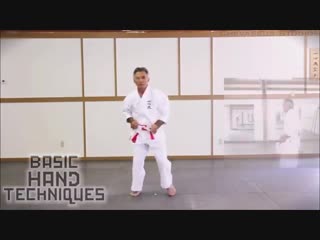 Isshinryu karate kata master tsuyoshi uechi basic hand techniques