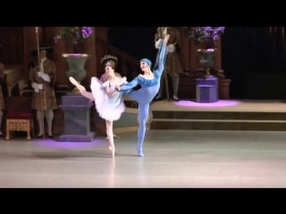 Mariinsky, sleeping beauty спящая красавица, renata shakirova (debut florine) konstantin iin (bluebird)