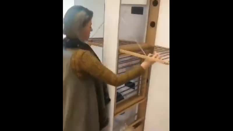 Офигенное многофункциональное хранение в ванной комнате jabutyyjt vyjujaeyrwbjyfkmyjt [hfytybt d dfyyjq rjvyfnt