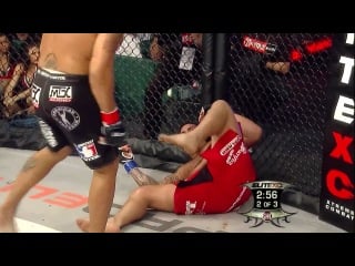 Antonio silva vs ricco rodriguez