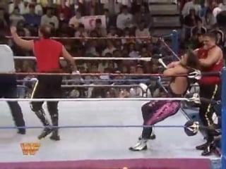 Wwf royal rumble 1994 the quebecers vs bret hart and owen hart (wwf tag team championship)