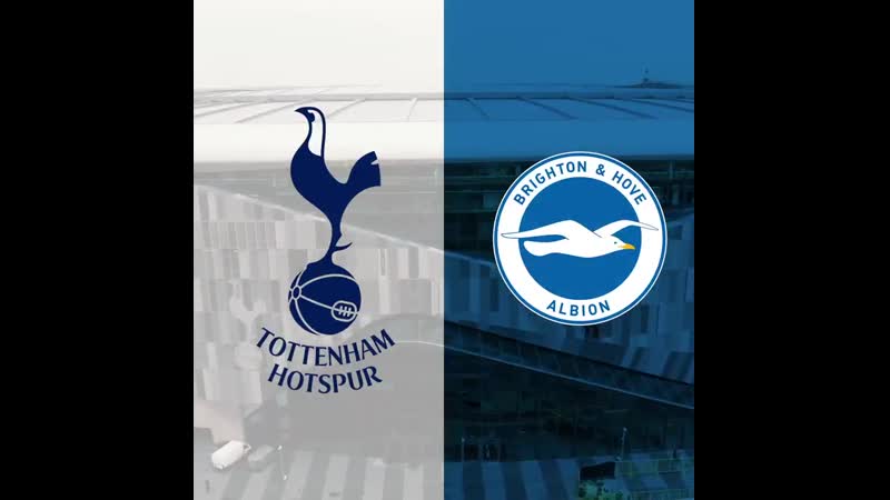 | «тоттенхэм хотспур» «брайтон» | превью