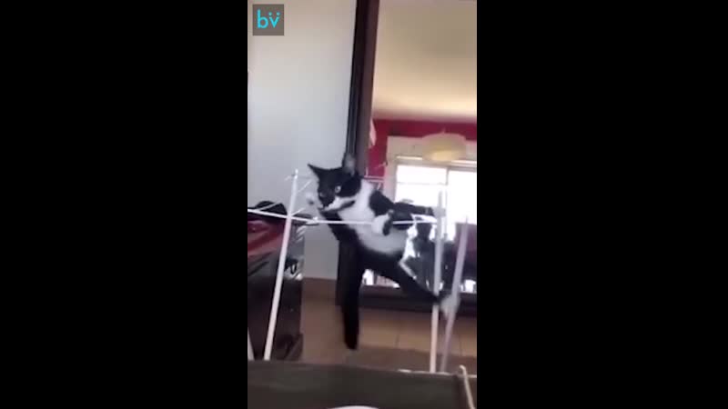 Запутался в текстурах