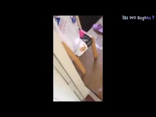 Видео самых смешных приколов