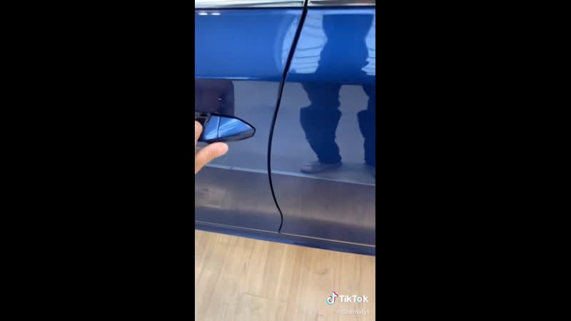Новая октавия