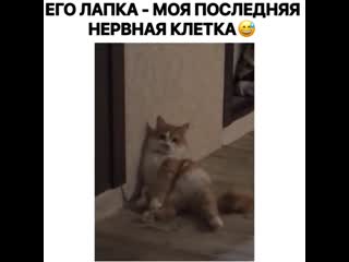 Porn video 20201128 5 mp4