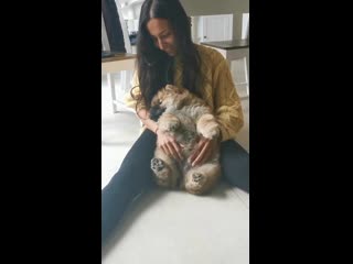 Этот медвежонок поднимат вам настроение порно домашнее инцест лесби porno milf кончил sex секс big ass tits минет анал большая