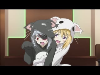 Infinite stratos laura bodewig nya animewebm