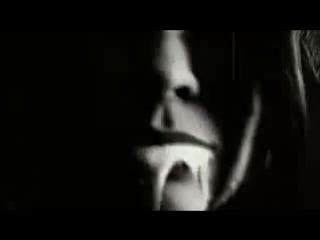 Avignon quintet chestnut goddess