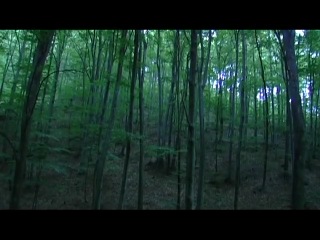 Косово porn video – Косово царёв завет