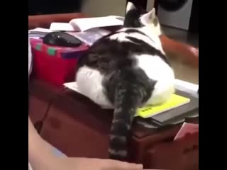 Пузырь (vhs video)