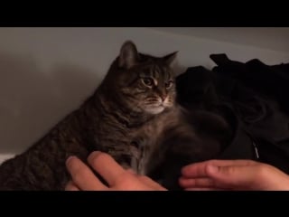 Отстань пожалуйста