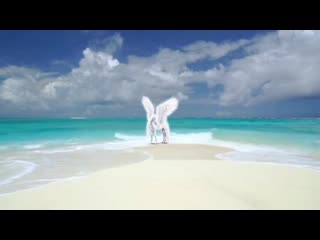 Horse summoner live at pop carol