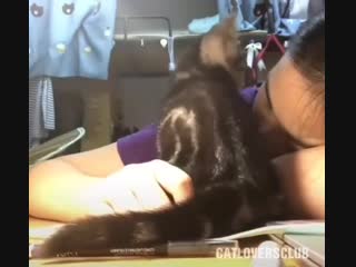 I’m just gonna snuggle right up in here, alright?