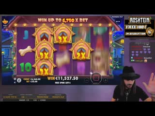 Casino sarayi roshtein new big win € on thedog house slot top 5 mega wins of the week