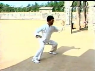 Chen taijiquan 1981 old chenjiagou video 陈家沟老视频 陈氏太极拳