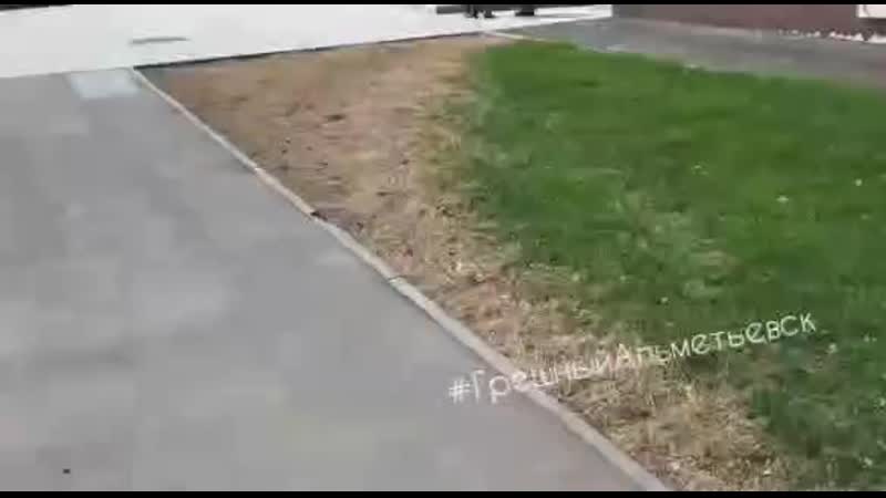 Альметьевск самоизоляция