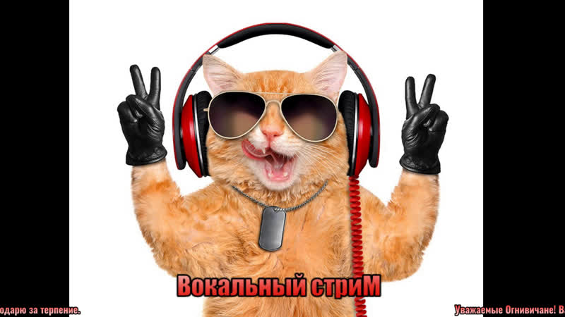 Ярина пленница live via restream io