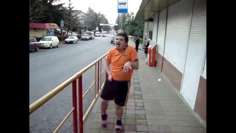 Типичный дотер