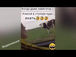 Лучше любого навигатора