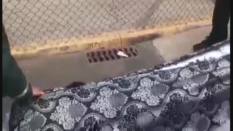 Ержан, вставай на работу пора (vhs video)