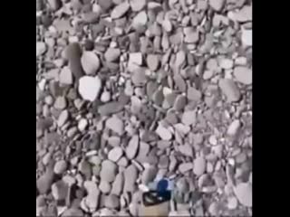 Serega full hd 1080p mp4