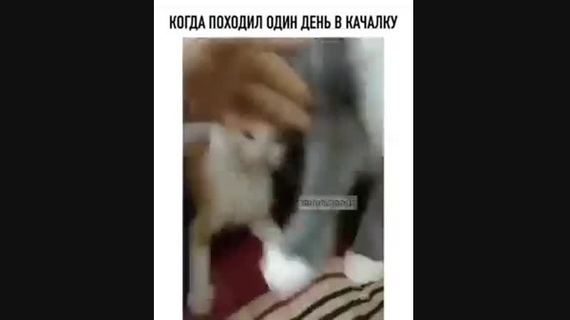 Доминируй, властвуй, унижай