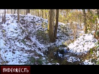 Череп чуть не треснул (с) видеожесть