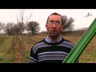 Geoingeniería ¿pacto de silencio? por josefina fraile