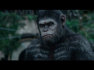 Планета обезьян революция (dawn of the planet of the apes)