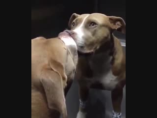 Feeling a bit loopy after surgery