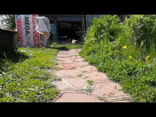 Sl mo vid 20190608 131617 mp4