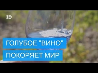 Испанцы научились делать голубое "вино"