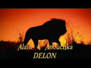 Лев / le lion (2003)