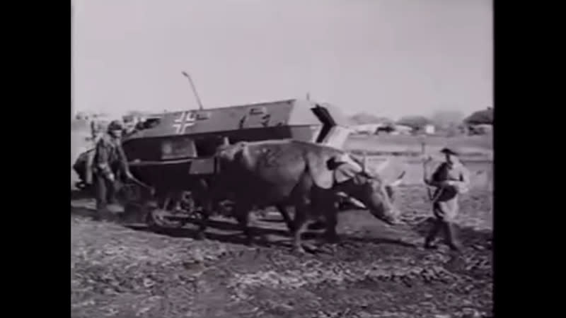 С днём великой победы! имя твоё неизвестно, подвиг твой бессмертен