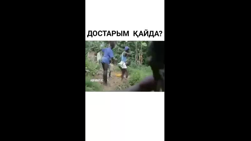 Достарым кайда😂