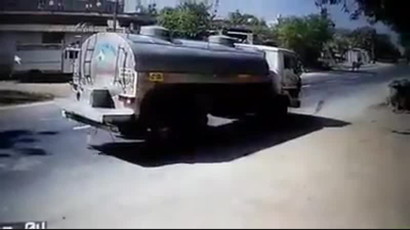 Пожалел скотину