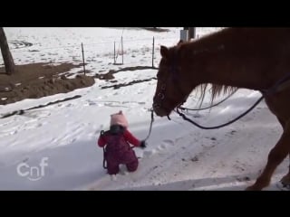 Emma and cinnamon little girl and horse are best friends