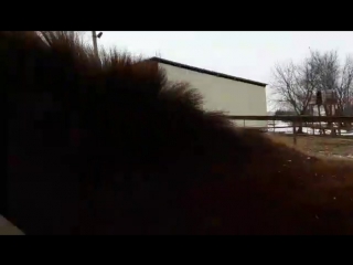 Моня и мими общаются