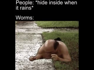 Dank