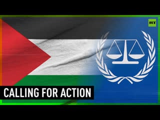 Palestinian organizations call on icc to take legal action against israel