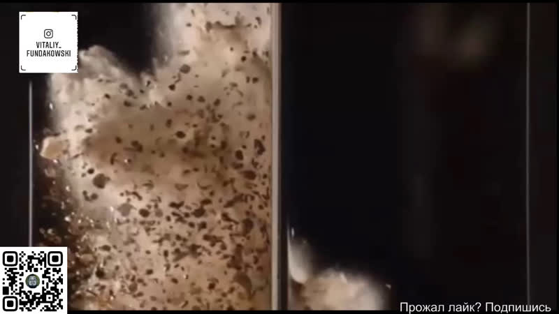 Американские коллекционеры простор для находок (12+)