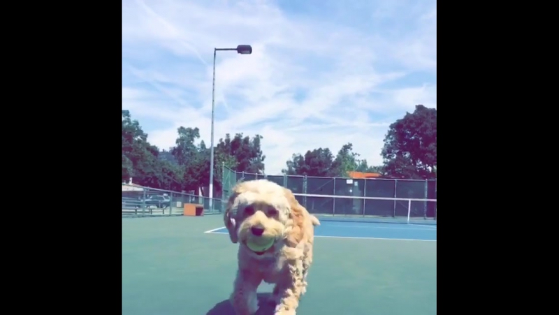 Видео с instagram минки келли